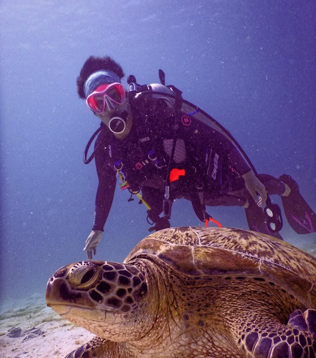 DIVING 1